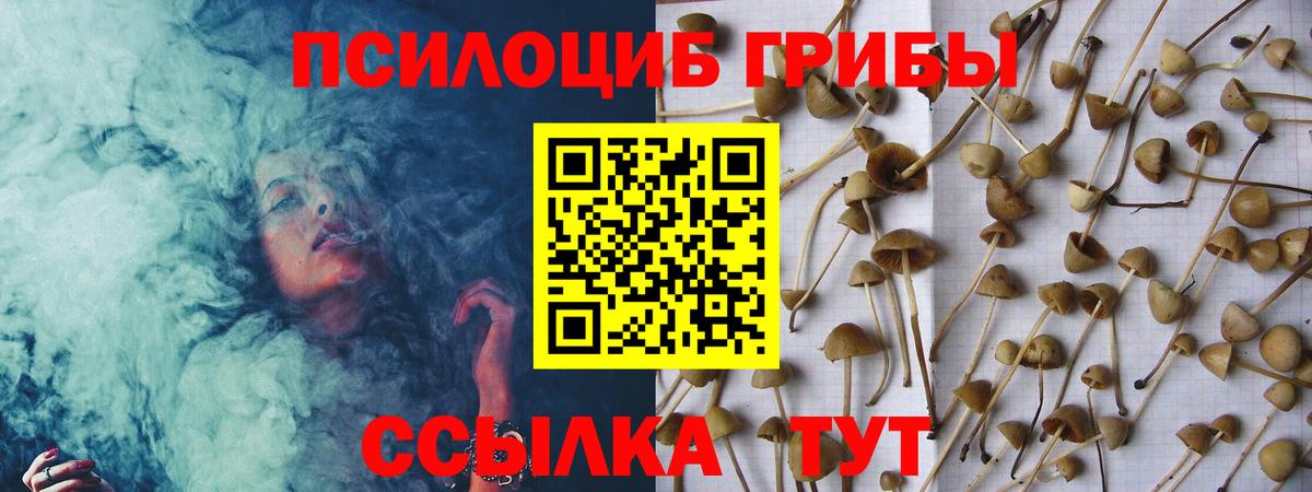 Галлюциногенные грибы MAGIC MUSHROOMS  где продают наркотики  Кемерово  Вход с VPN 
